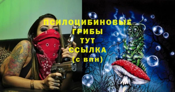 СК Алзамай