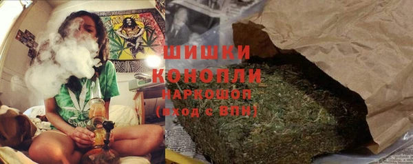 спайс Алексин
