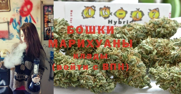 СК Алзамай