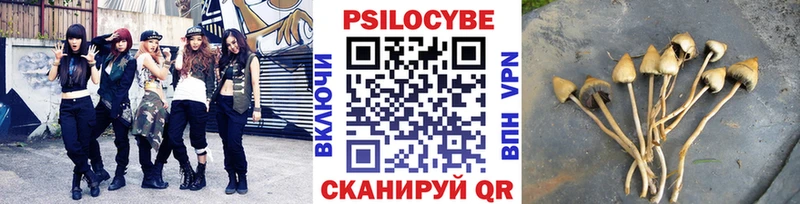 Псилоцибиновые грибы Psilocybine cubensis  где продают наркотики  Калтан 
