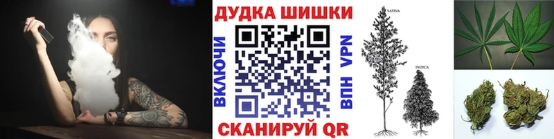Марихуана план  купить закладку  Калтан 